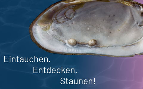 Das Freiberger Tor des Perlmutter- und Heimatmuseums Adorf (Foto: Lenk- Klingenthal)