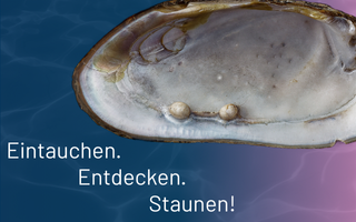 Das Freiberger Tor des Perlmutter- und Heimatmuseums Adorf (Foto: Lenk- Klingenthal)