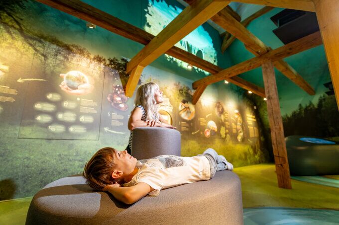 Nechte se unést do světa témat naší výstavy.